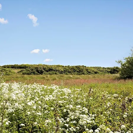 בית נופש 076-ringkobing-irisvej-19 רינגקובינג