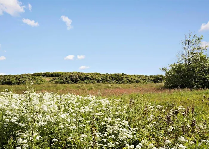 Holiday home 076-ringkobing-irisvej-19 Ringkobing